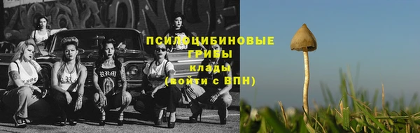 дурь Абинск