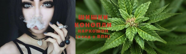 стаф Абдулино