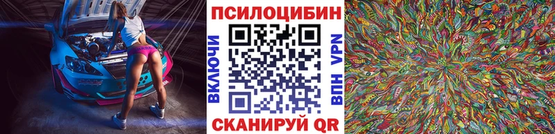 Псилоцибиновые грибы Psilocybe  закладка  Североморск 
