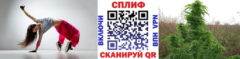 Марихуана Amnesia  Североморск 